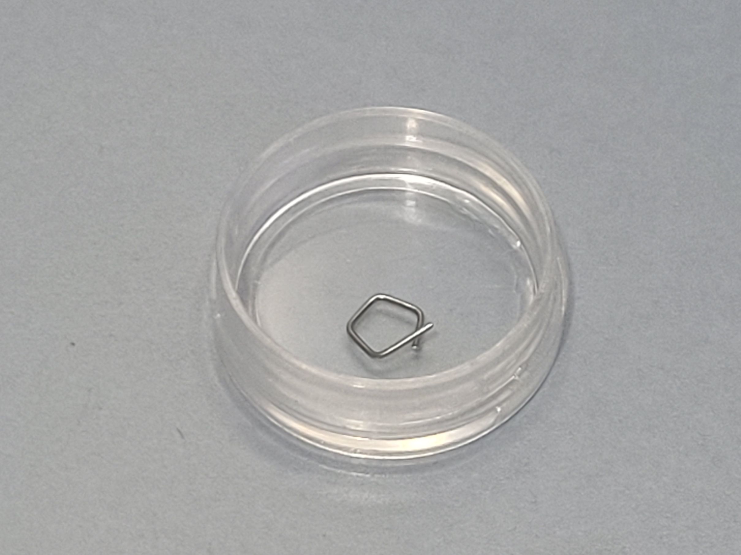 ZWIEBEL 50mg Class F1 INOX Calibration Weight