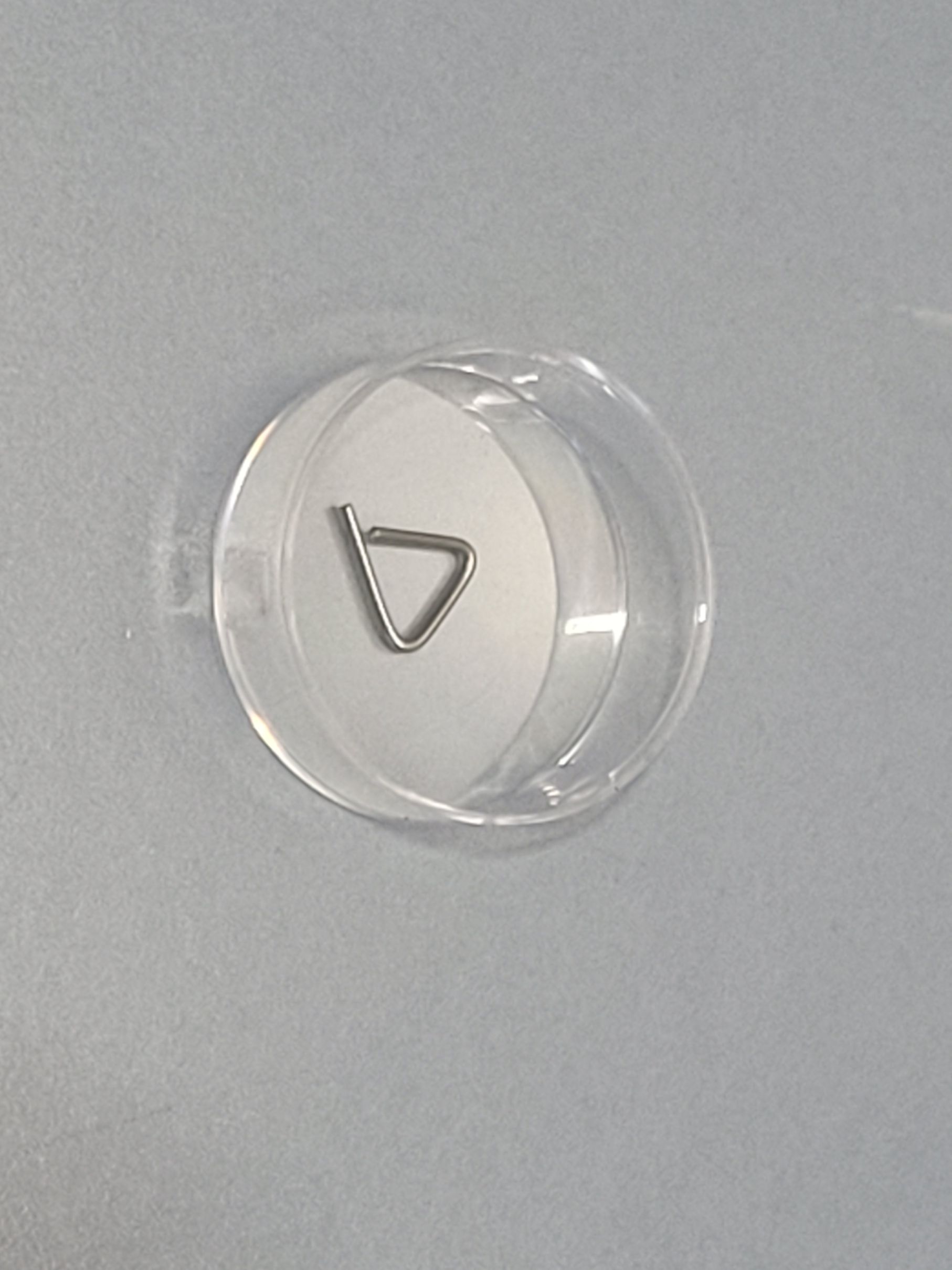 ZWIEBEL calibration weight 100mg class F1 INOX