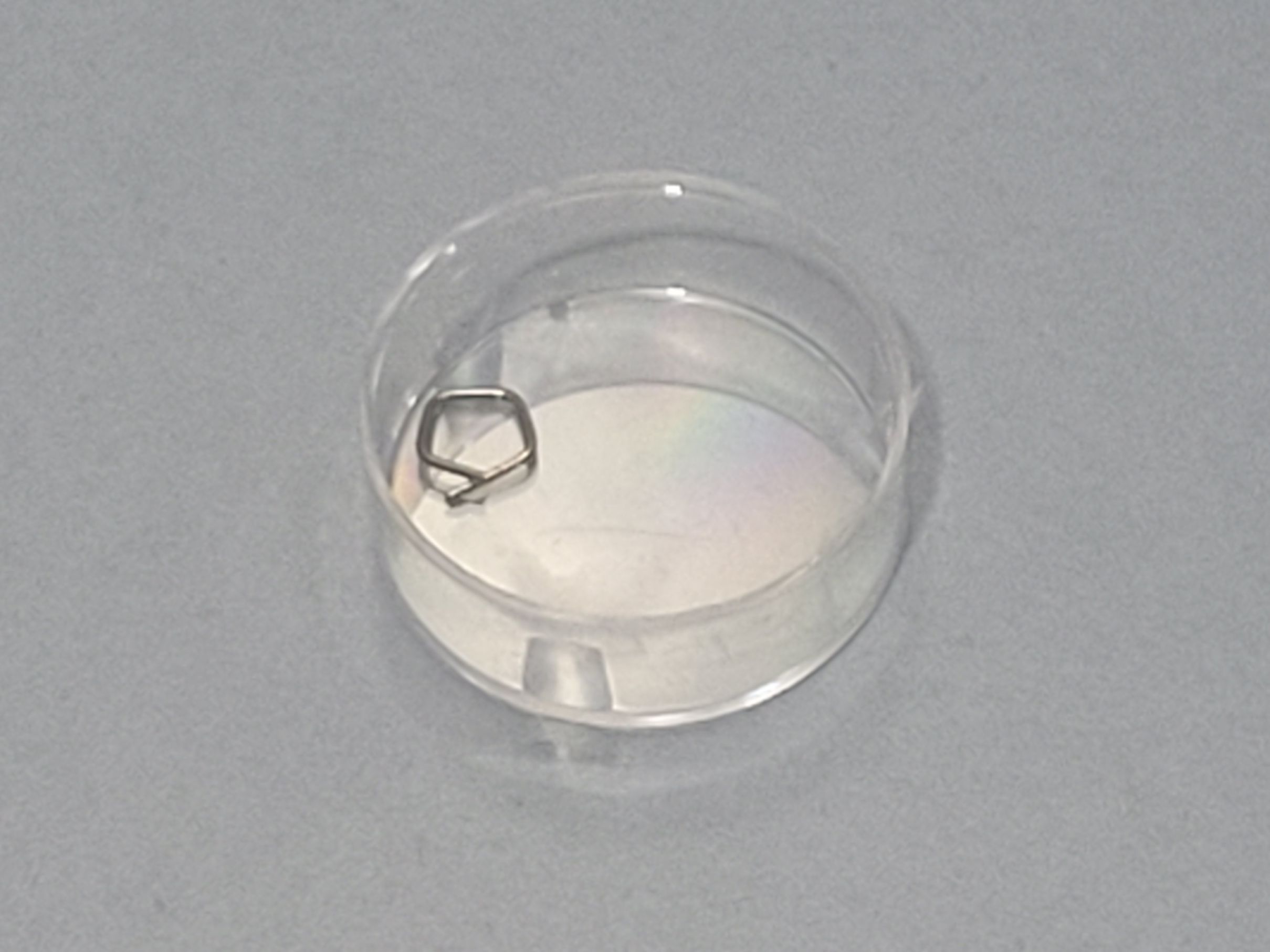 ZWIEBEL calibration weight 50mg class E2 INOX