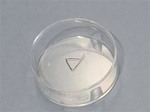 ZWIEBEL calibration weight 10mg class E2 INOX