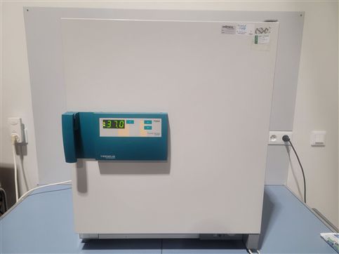 HERAEUS B12 incubator / oven with natural convection 70°C