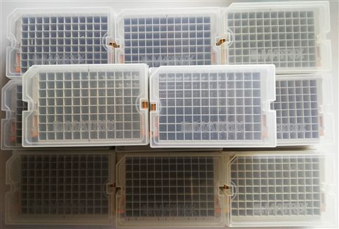 10 Racks for Matrix 2D Barcoded Storage 96 Tubes  DFS Item