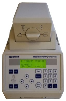 Thermocycleur PCR personnel Mastercycler 5332